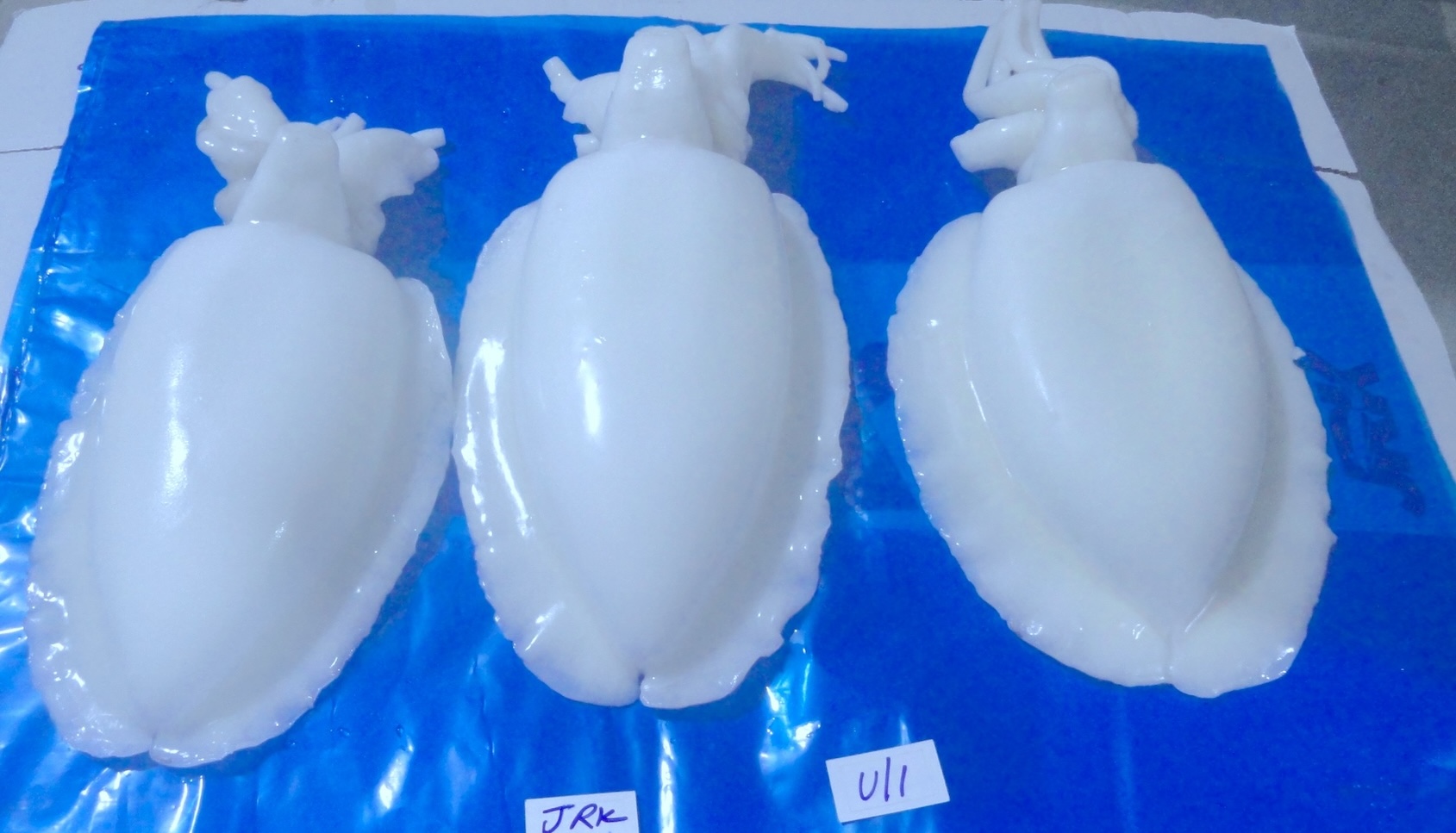 Cuttlefish-tray-pack