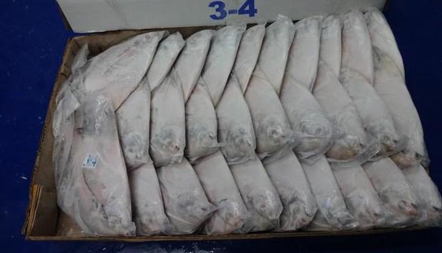 Frozen-Silver-Pomfret