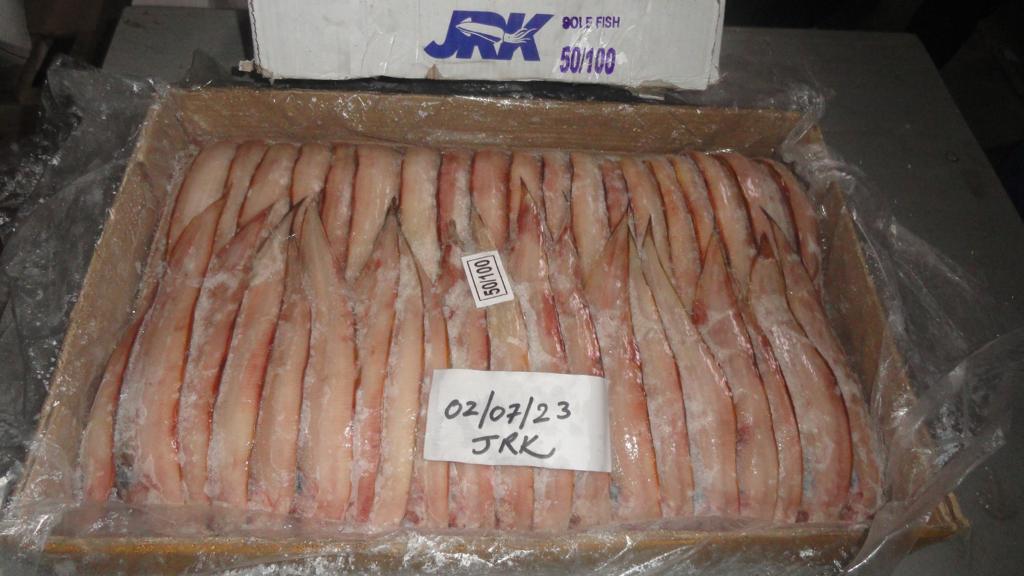 Frozen-Sole-Fish
