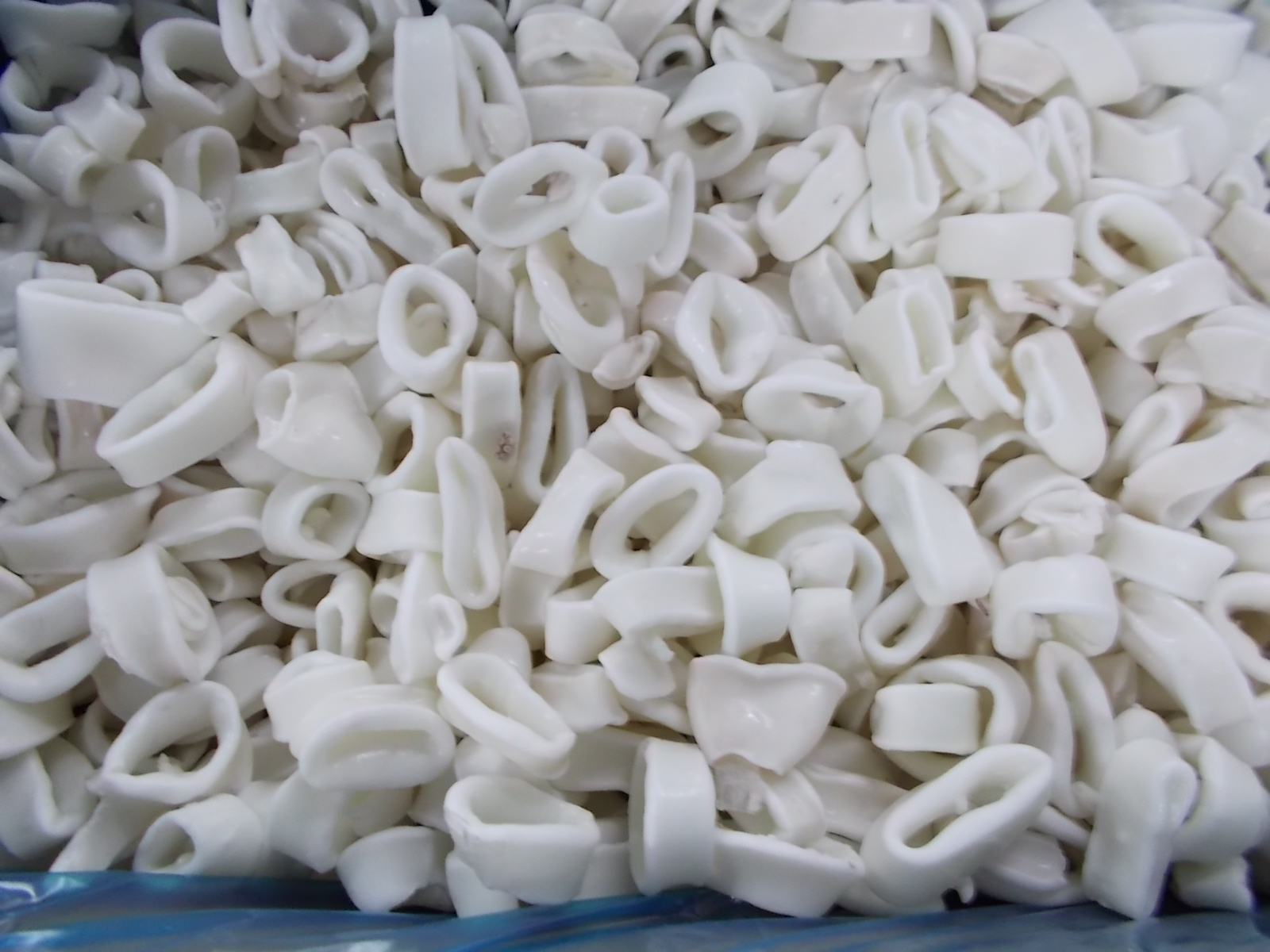 Squid-Rings